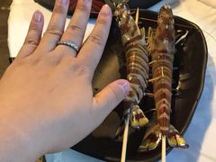 -鲜入围煮花胶鸡海鲜火锅