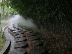-雪山彩虹谷景区