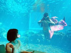 -海棠湾洲际-涛·海底餐厅·美人鱼·自助餐·海底隧道
