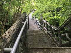 -汤旺河林海奇石景区