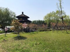 -苏州太湖国家湿地公园