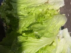 -江城二当家烤牛肉(莲塘新村店)
