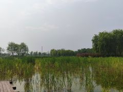 -永定河休闲森林公园