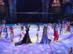 -海合安武汉极地海洋公园