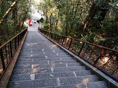-云南屏边大围山国家公园