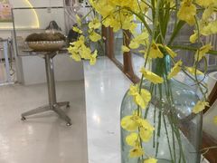 -共舞时光猫咖·狗咖(新街口店)