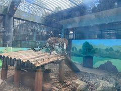 -昆明动物园