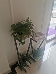 -香秀空间科技抗衰·美容中心