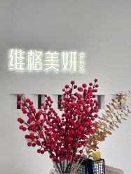 -维格美妍