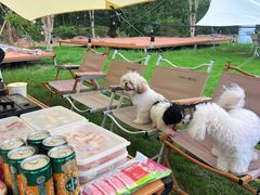 -不觉晓CAMPING(上海迪士尼营地店)