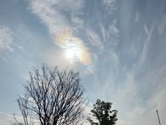 -盘龙城国家考古遗址公园