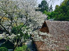 -中国茶叶博物馆(双峰馆区)