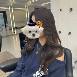 -魔型社烫染店