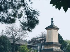 -西安青龙寺遗址景区