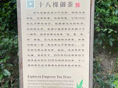 -十八棵（老龙井）御茶园(老龙井店)