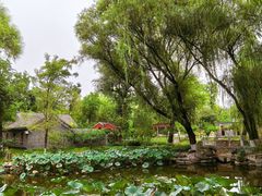 -勺园西餐厅
