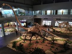 -自贡恐龙博物馆