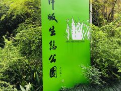 -西湖风景区-江洋畈生态公园