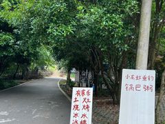 -青龙山国家森林公园