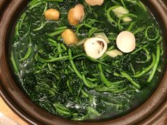 西洋菜-御公馆中餐厅·点心·顺德菜·佛山东平保利洲际酒店