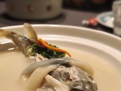 养颜白汁河豚-肆月河豚·新淮扬(金融街店)