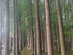 -采石矶景区