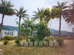 -白石龙音乐公园