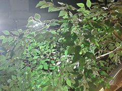 -城墙拐拐火锅(三峡广场黑金冠店)