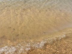 -济南国际园博园