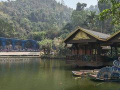 -西双版纳原始森林公园