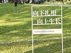 -云溪植物园