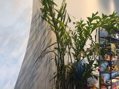 -dotcom coffee古点咖啡(致真大厦店)
