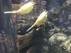 -福州罗源湾海洋世界旅游区