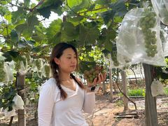 -马陆小张葡萄园农家乐