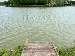 -宁波杭州湾国家湿地公园