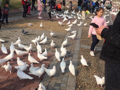 -飞来湖湿地公园