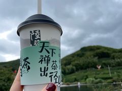 -陆羽泡的茶(集散中心店)