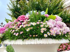 -上海共青森林公园