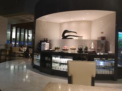 -虹桥机场国航贵宾室v8