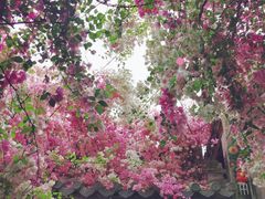 -深圳国际园林花卉博览园