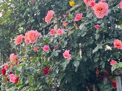 -元大都城垣遗址公园