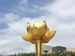 -金莲花广场