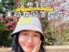 -昆明动物园