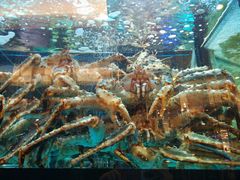 -金翠皇宫粤菜·点心·海鲜(科技园店)