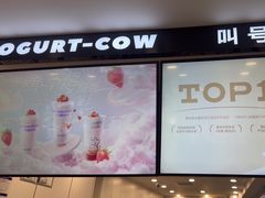 -一只酸奶牛(洪崖洞11楼店)