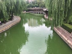 -团结湖公园