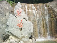 -Tomado绿色烘焙(大尧三路店)
