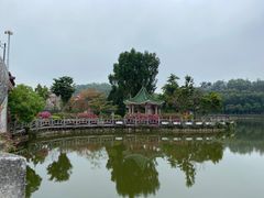 -大屏嶂森林公园