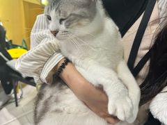 -谜盒子奇幻密室(南屏店)