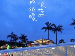 -巨鹏飞梦幻海岸